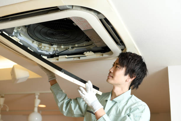 Best Affordable Air Duct Cleaning  in South Alamo, TX